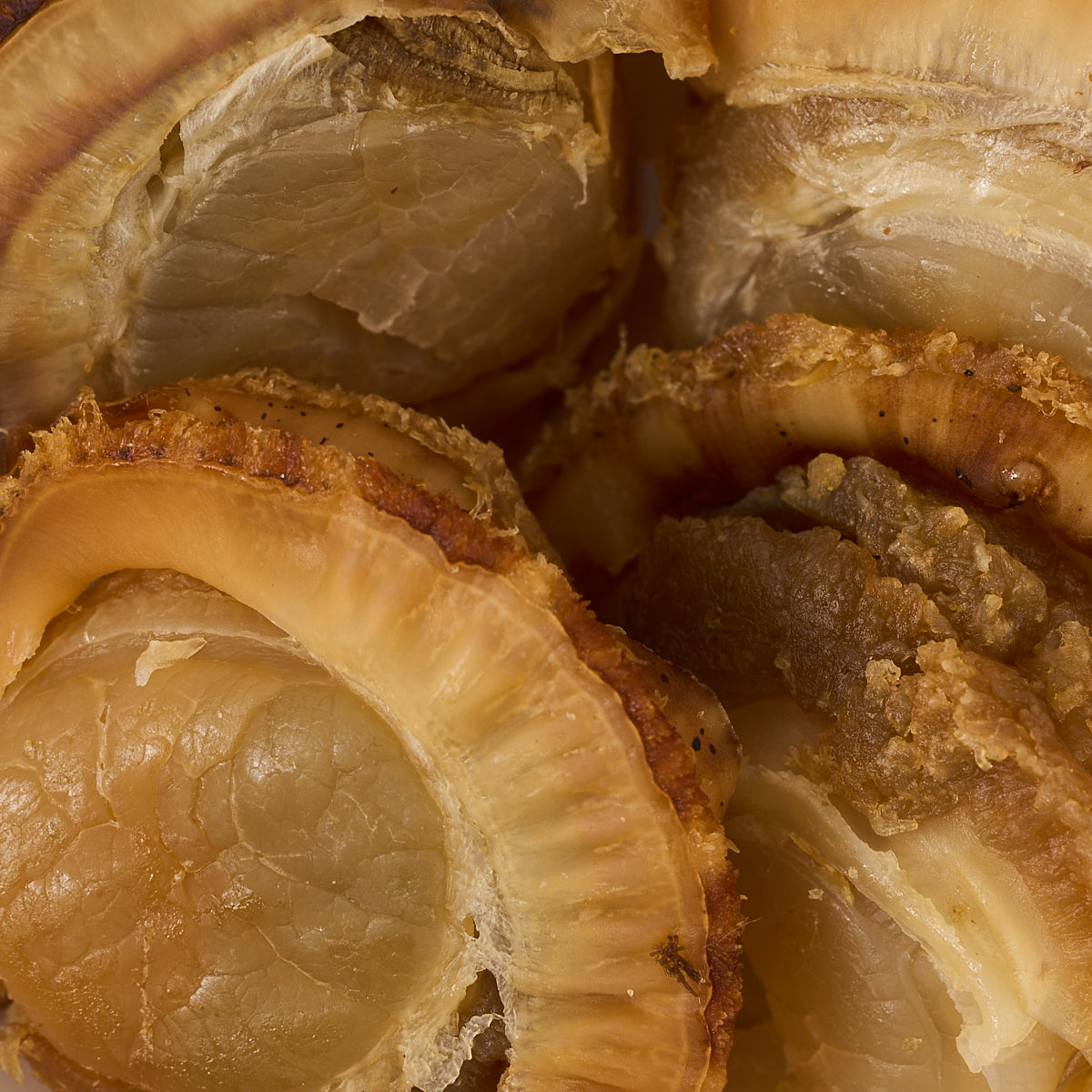 Large Grilled Scallops