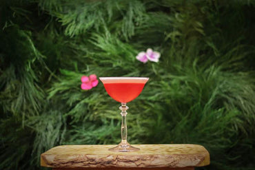 A Complete Mixology Guide: 15 Sake Cocktail Recipes