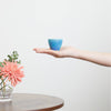 Aosaiyu Guinomi Cup, on a hand Thumbnail